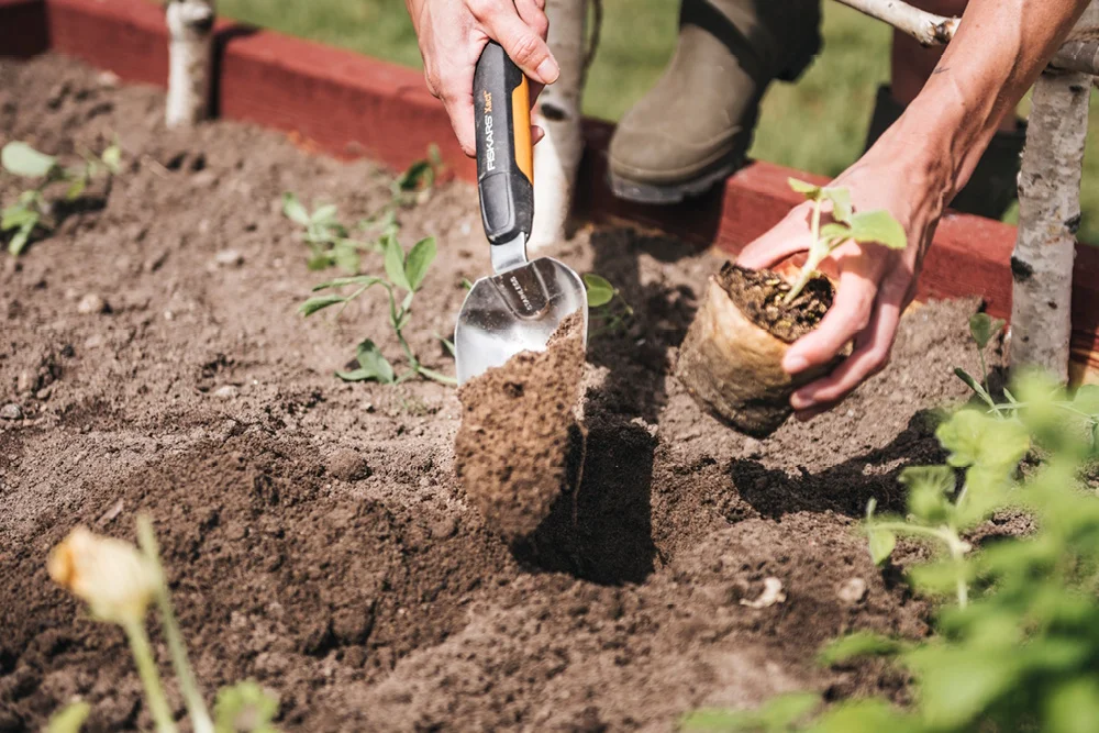 Eine Person pflanzt im Garten mit Fiskars-Werkzeug